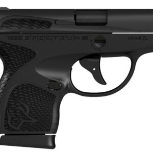 Taurus Black Carry Pistol For Sale